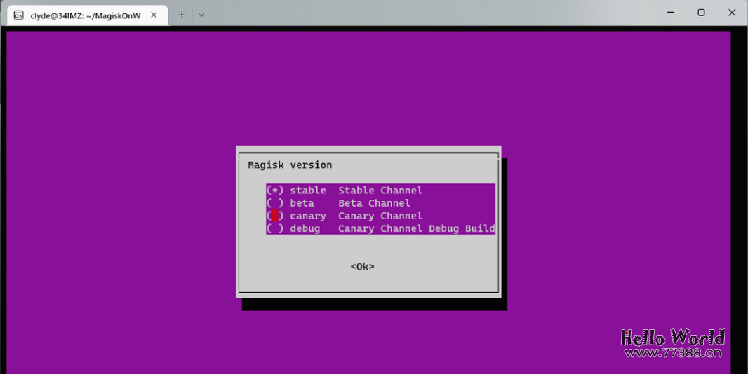 个性化安装WSA:找回你需要的Google服务和Magisk